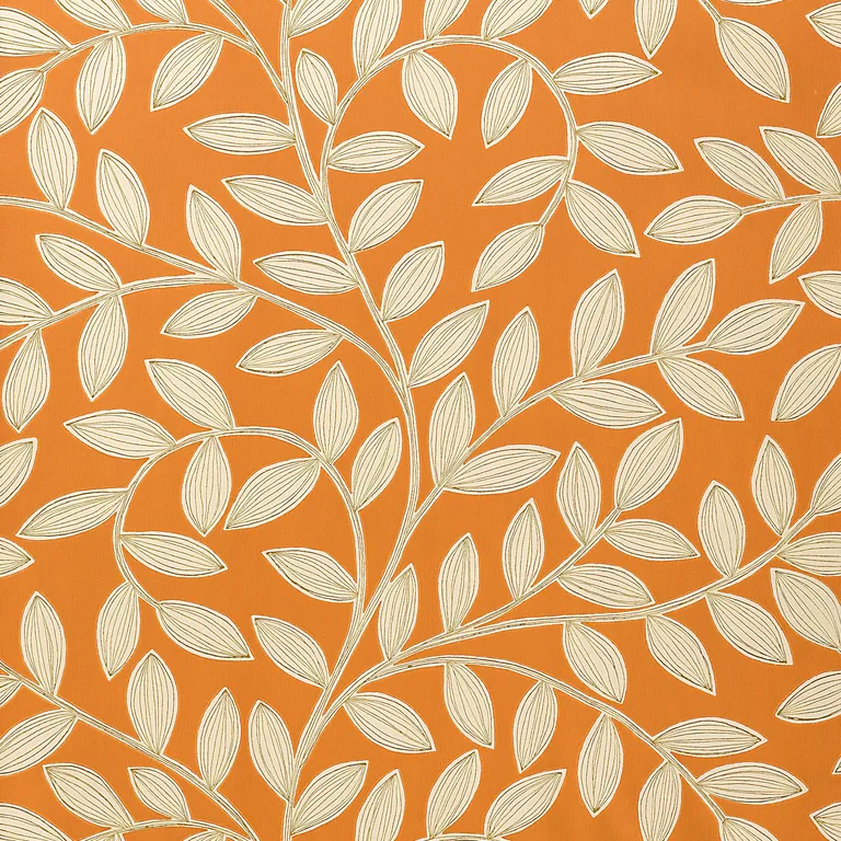 Thibaut Havendale in Orange (T4911)