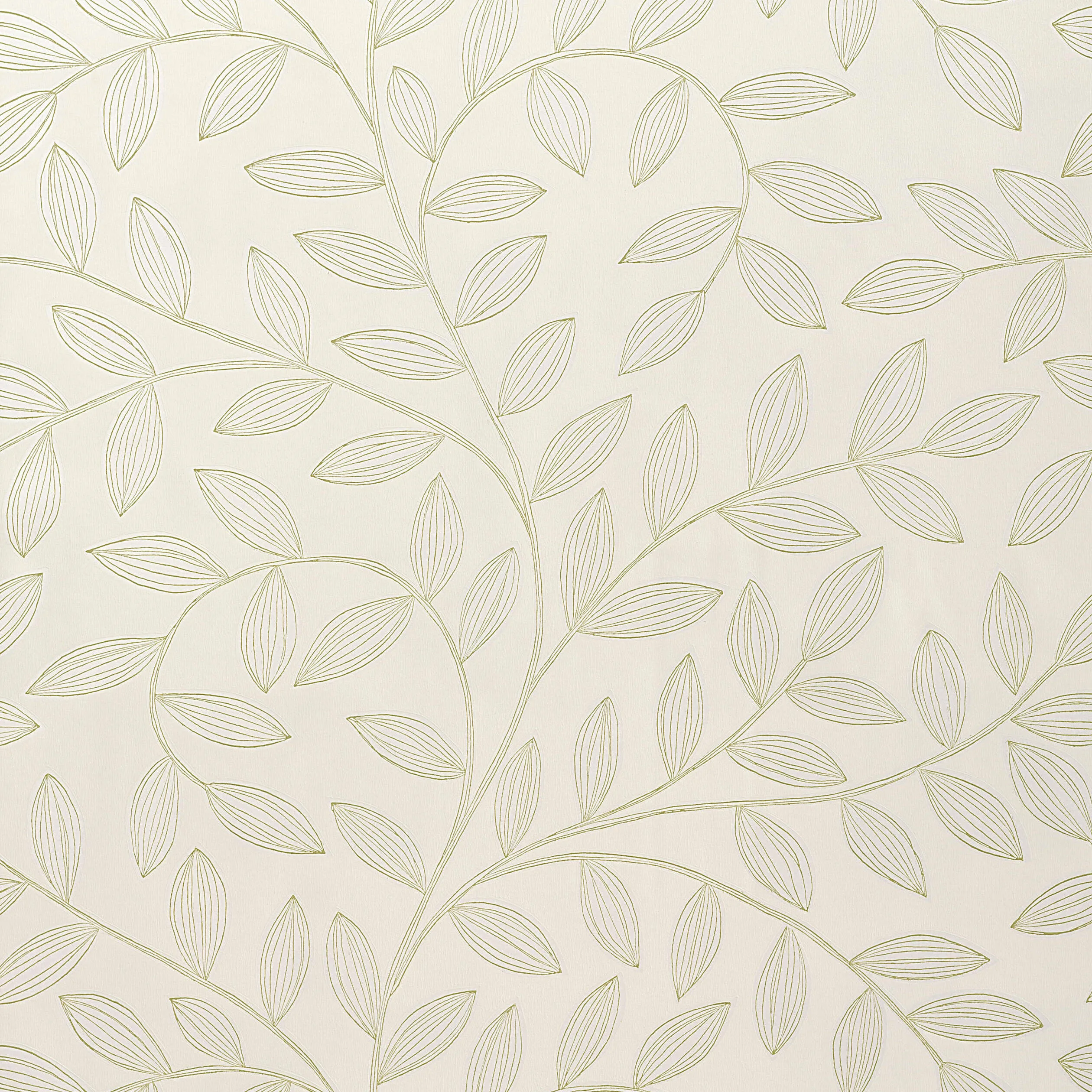 Thibaut Havendale in Pearl (T4909)
