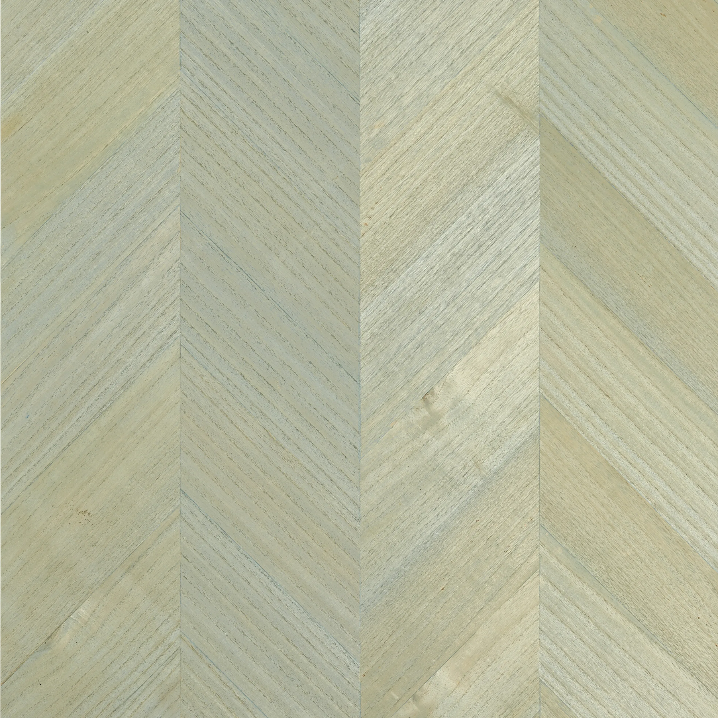 Thibaut Inyo Wood in Robin's Egg (T4022)