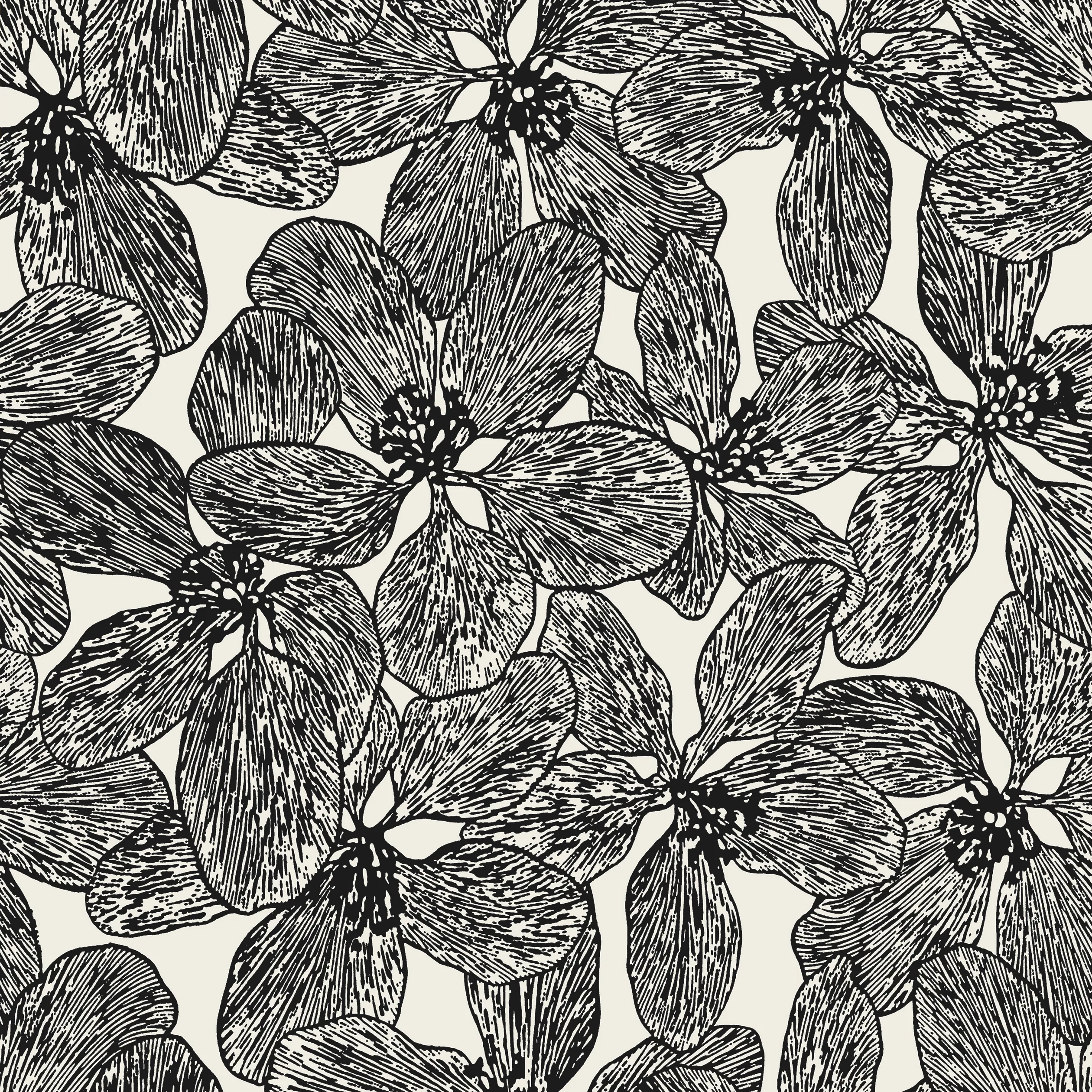 T15848 | Island Orchid – Black and White