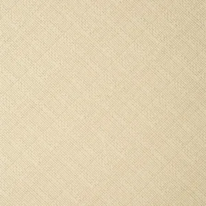 Thibaut Jackson Weave in Cashmere (T14503)