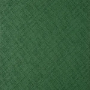 Thibaut Jackson Weave in Emerald (T14508)