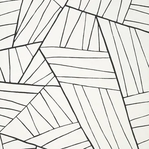 Thibaut Jordan in Black on White (T10444)
