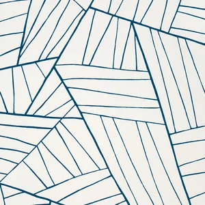 Thibaut Jordan in Navy on White (T10443)