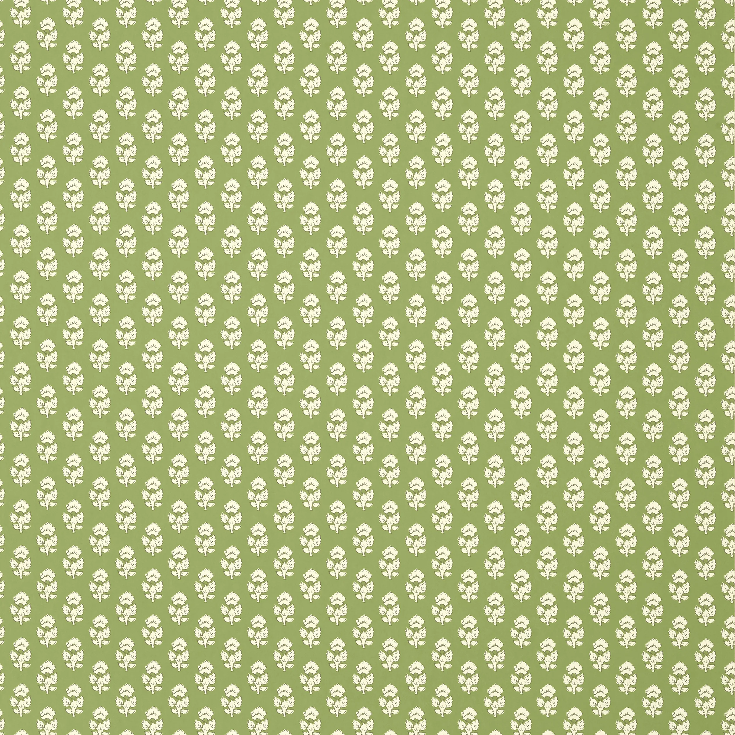 AT15160 | Julian – Green