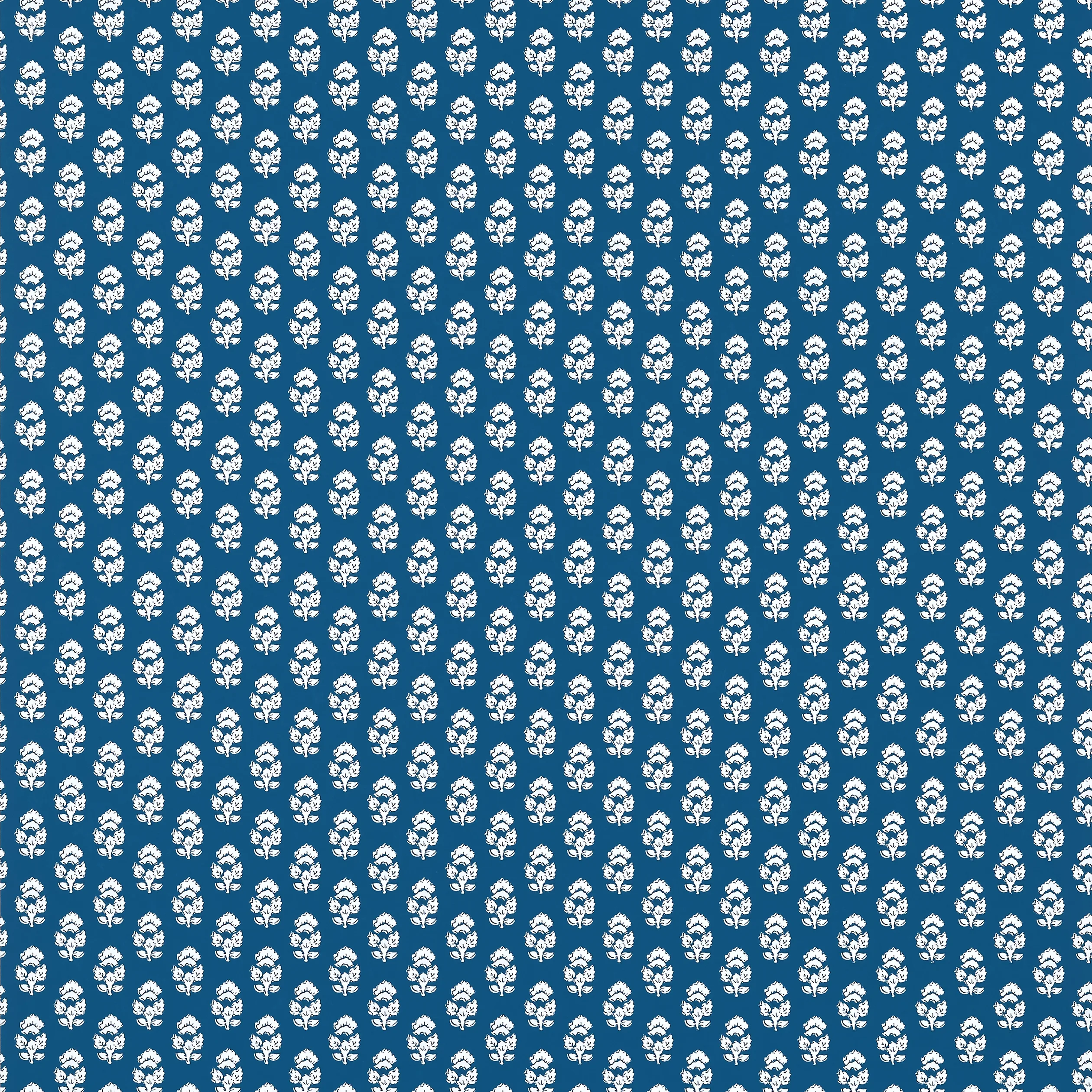 AT15163 | Julian – Navy