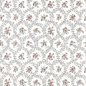 Anna French Juliette Trail in Blush (AT10764)