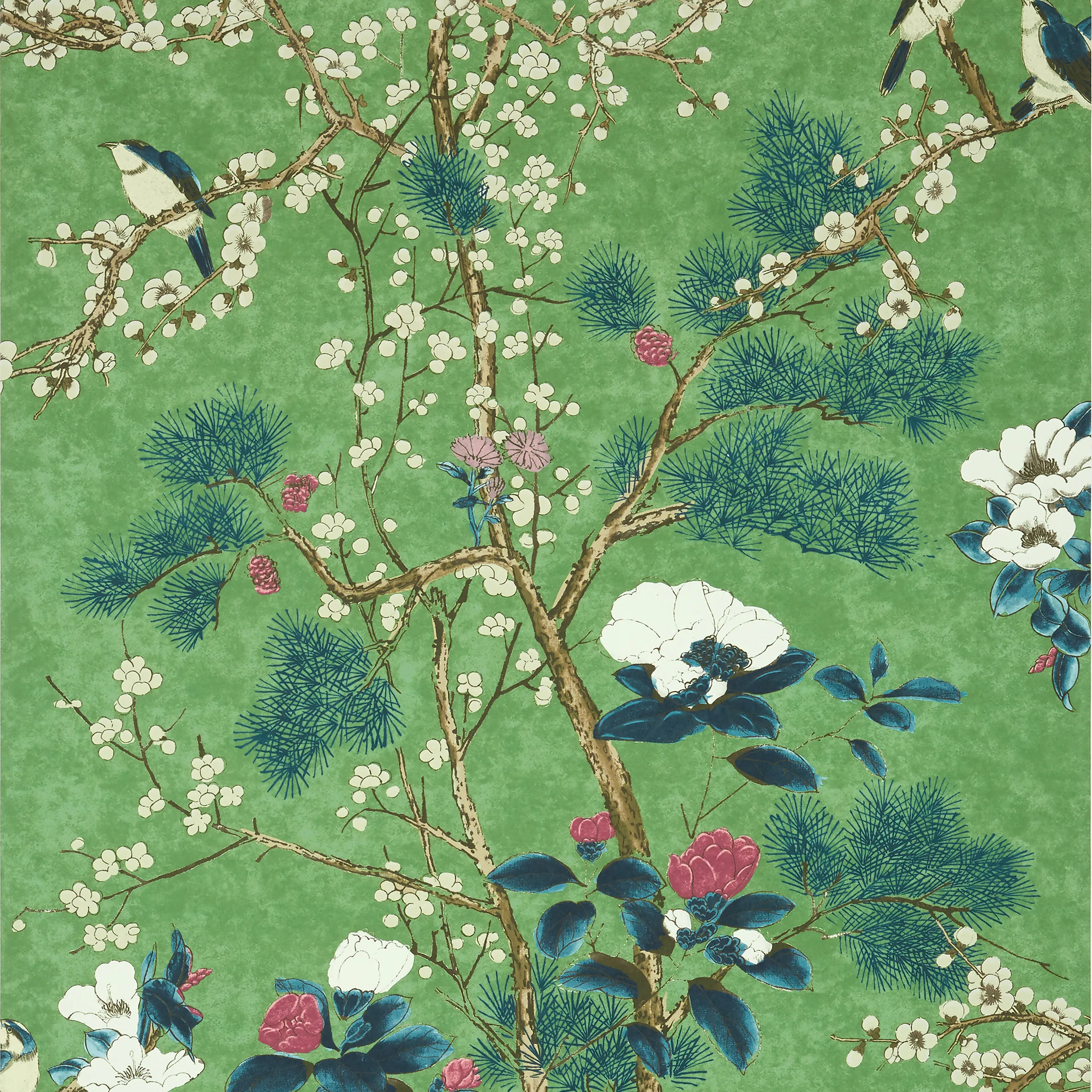 T13623 | Katsura – Emerald