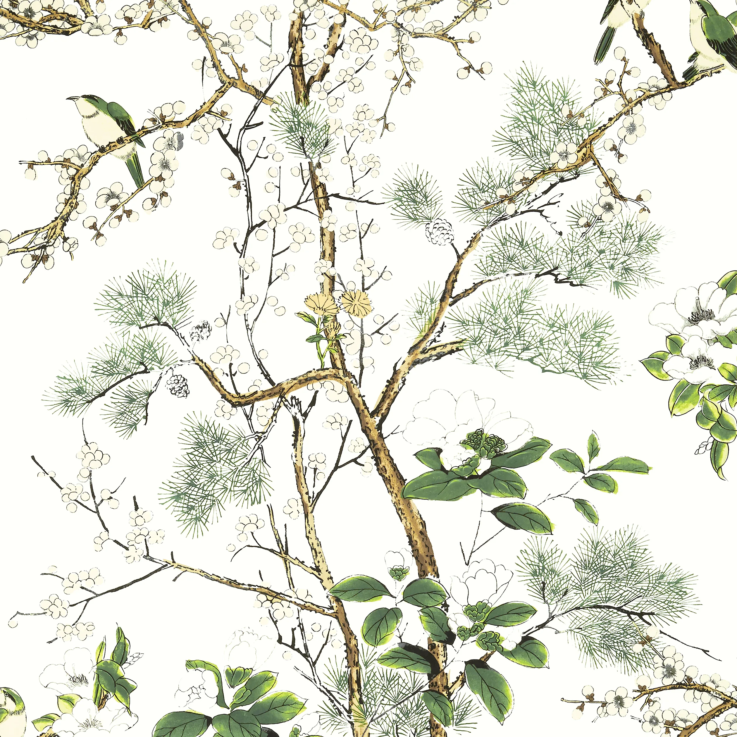 T13621 | Katsura – Green and White