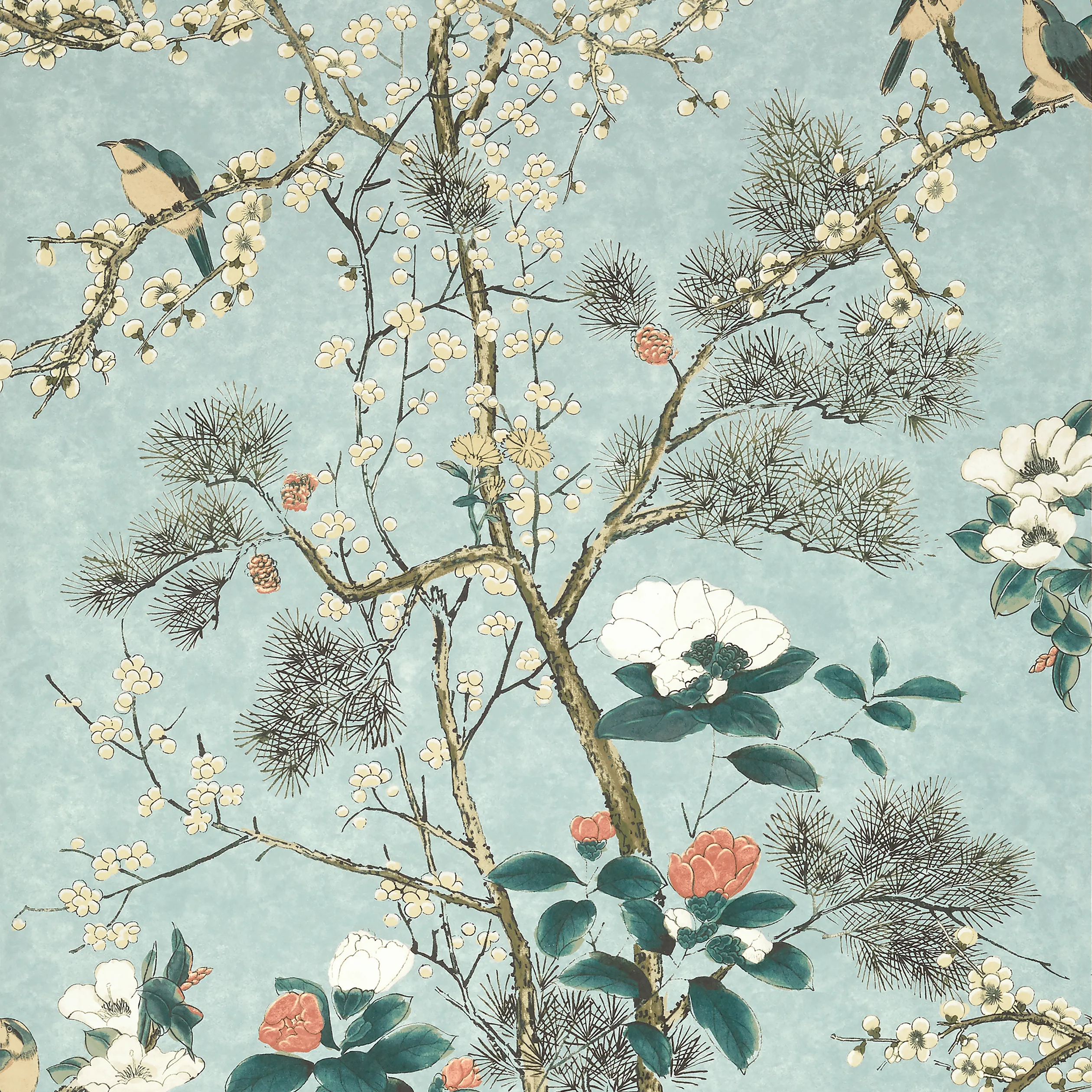 T13625 | Katsura – Mist