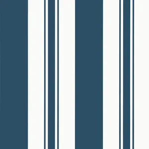 Anna French Keswick Stripe in Navy (AT23173)