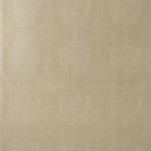 Thibaut Kissimmee in Taupe (T75097)