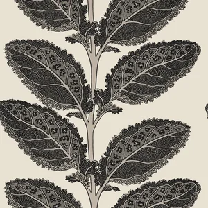 Thibaut Lacinato in Basalt Black (T12038)