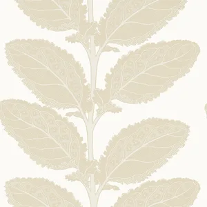 Thibaut Lacinato in Birch (T12041)