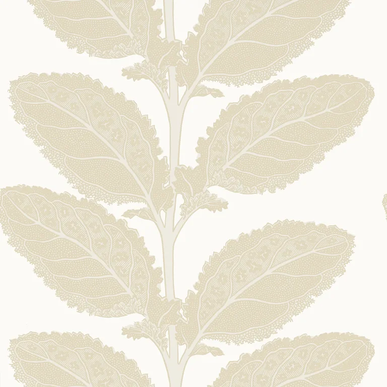 Thibaut Lacinato in Birch (T12041)