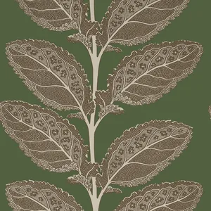 Thibaut Lacinato in Wild Sage (T12040)