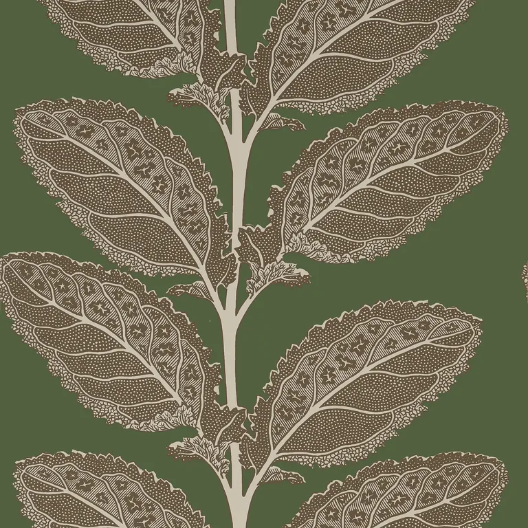 Thibaut Lacinato in Wild Sage (T12040)