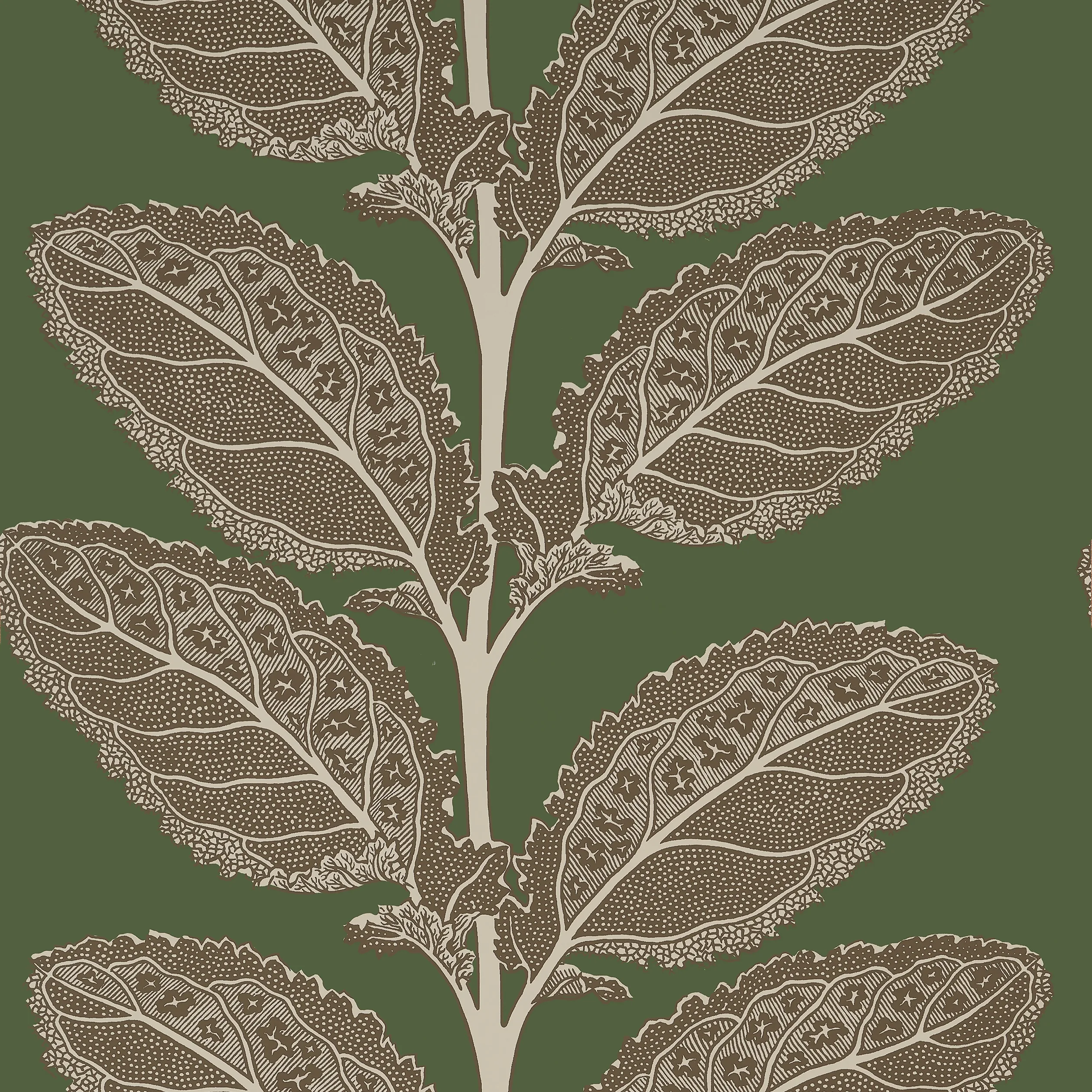 T12040 | Lacinato – Wild Sage