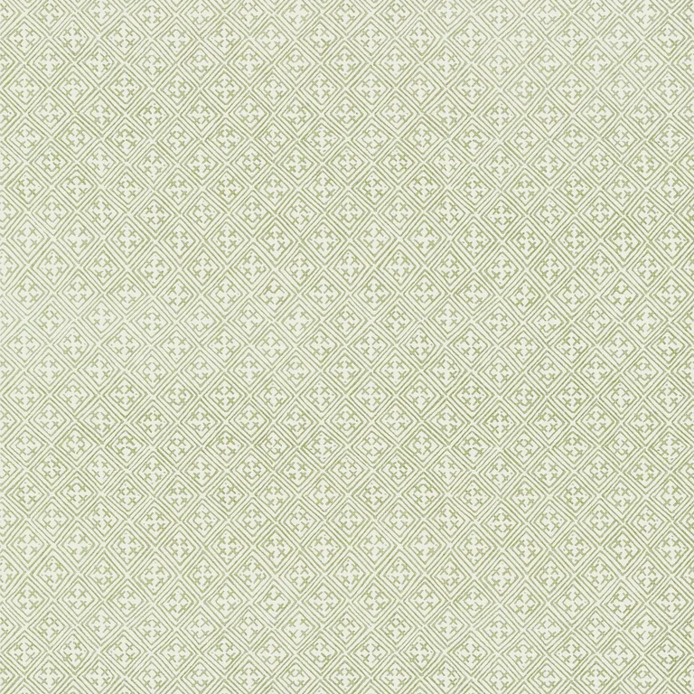 Thibaut Laos in Green (T72615)