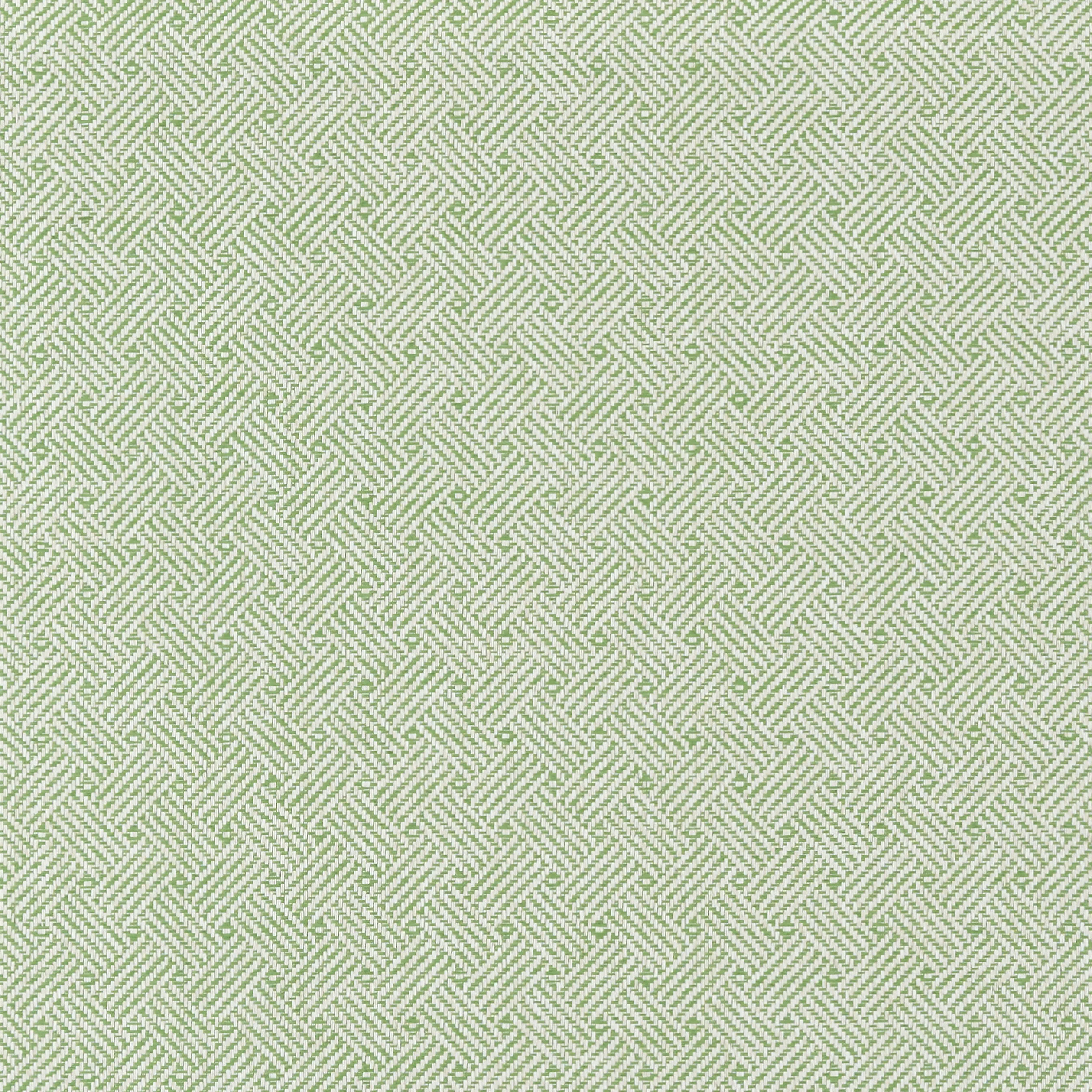 T75479 | Lattice Weave – Green