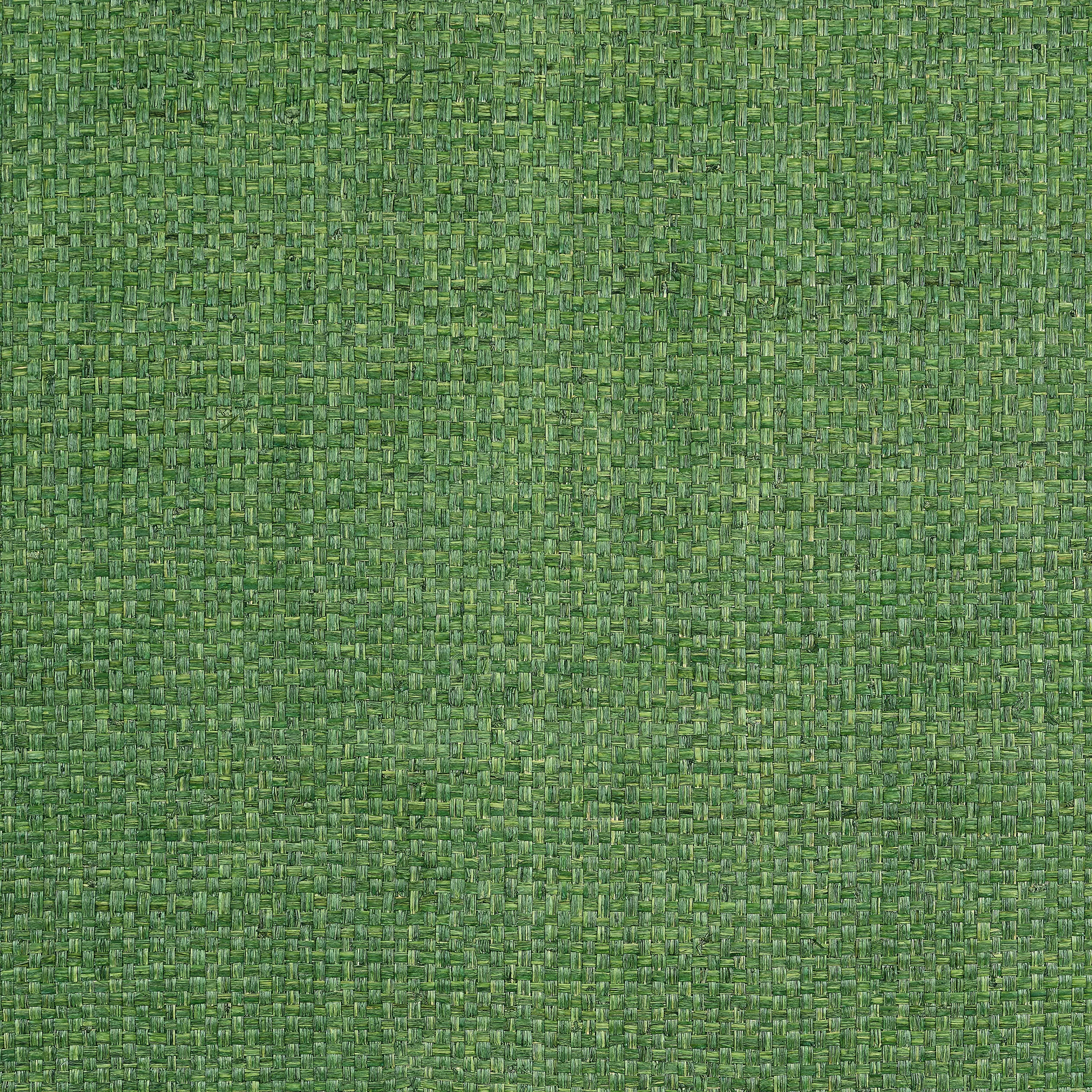 Thibaut Lauderdale in Green (T19607)