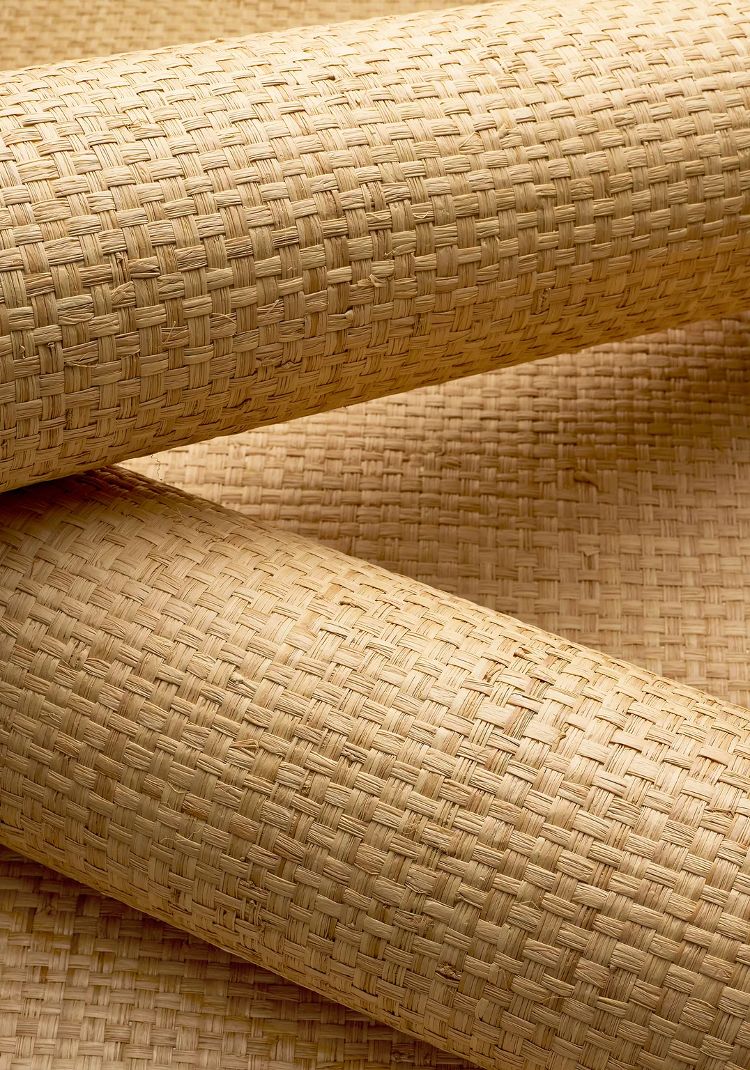Thibaut Lauderdale in Natural (T19603)