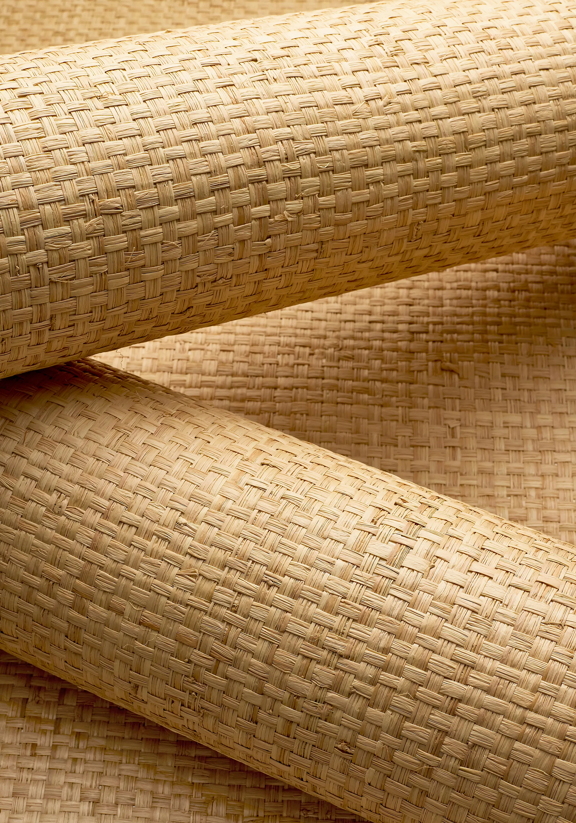 Thibaut Lauderdale in Natural (T19603)
