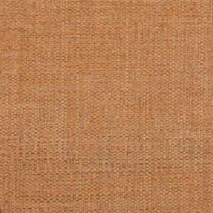 Thibaut Lauderdale in Pumpkin (T19606)