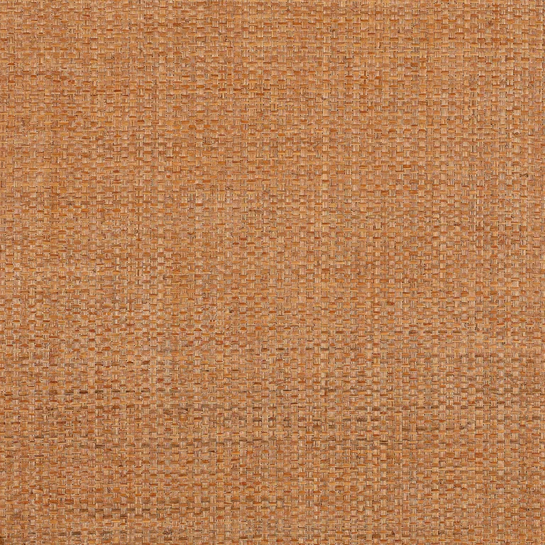 Thibaut Lauderdale in Pumpkin (T19606)