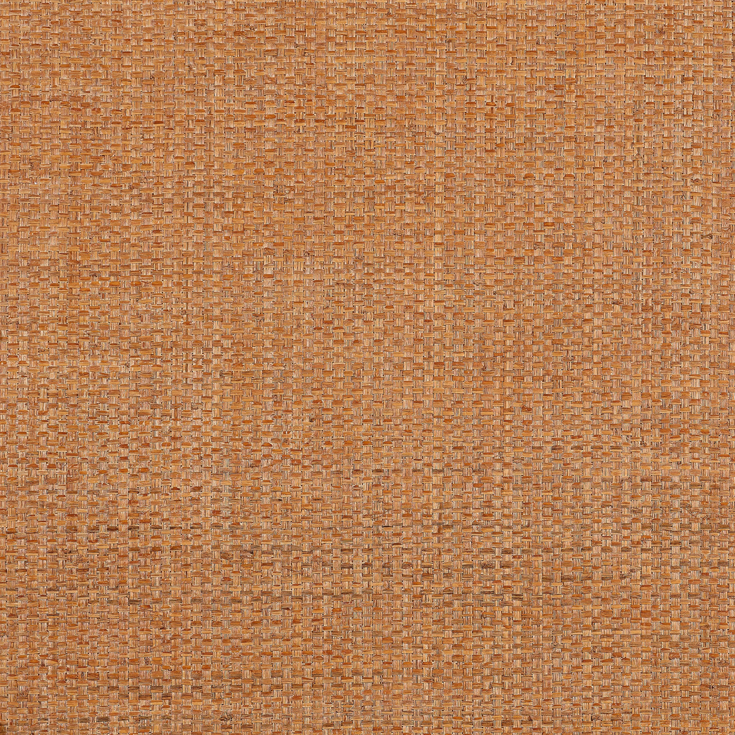 T19606 | Lauderdale – Pumpkin