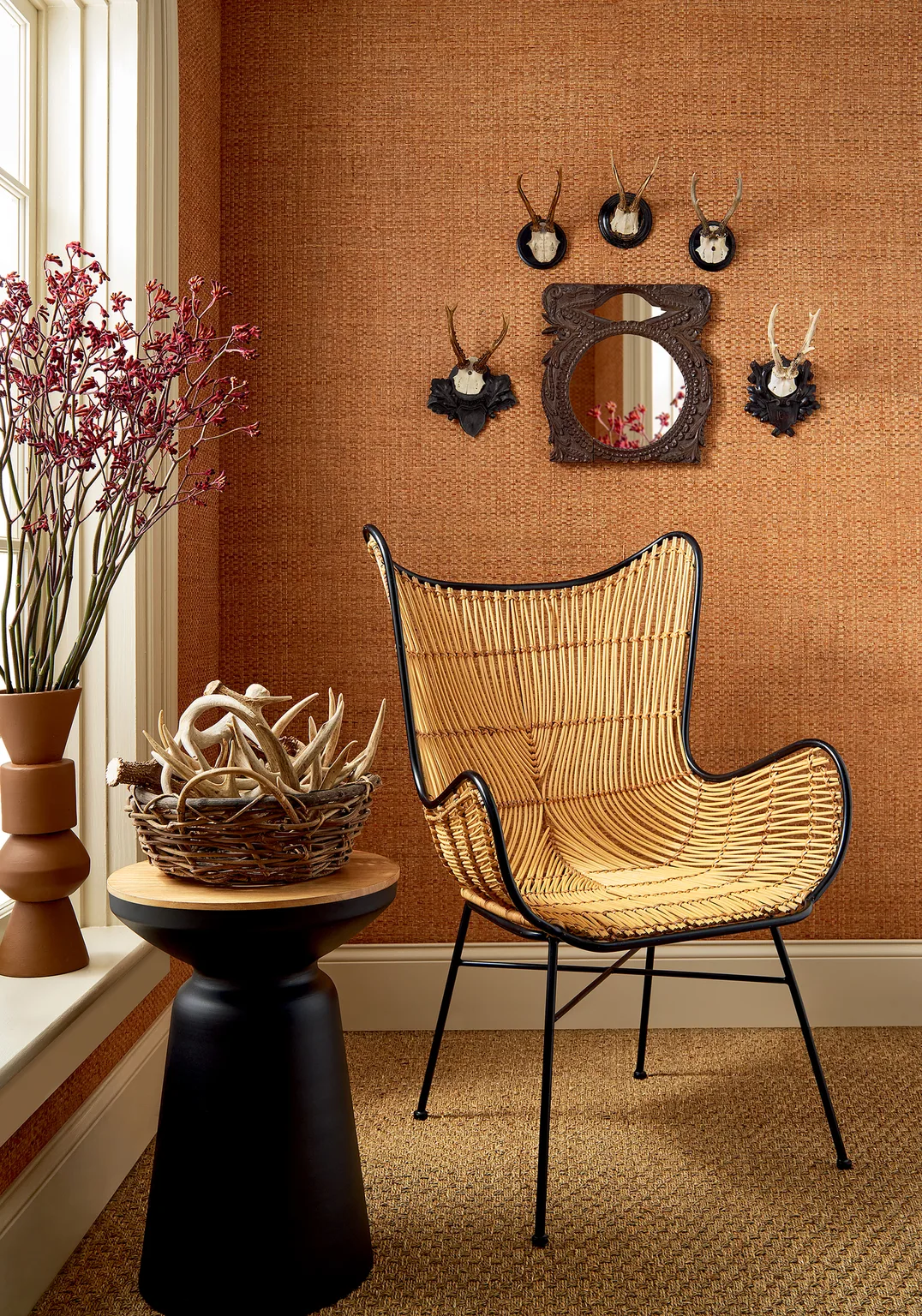 Thibaut Lauderdale in Pumpkin (T19606)