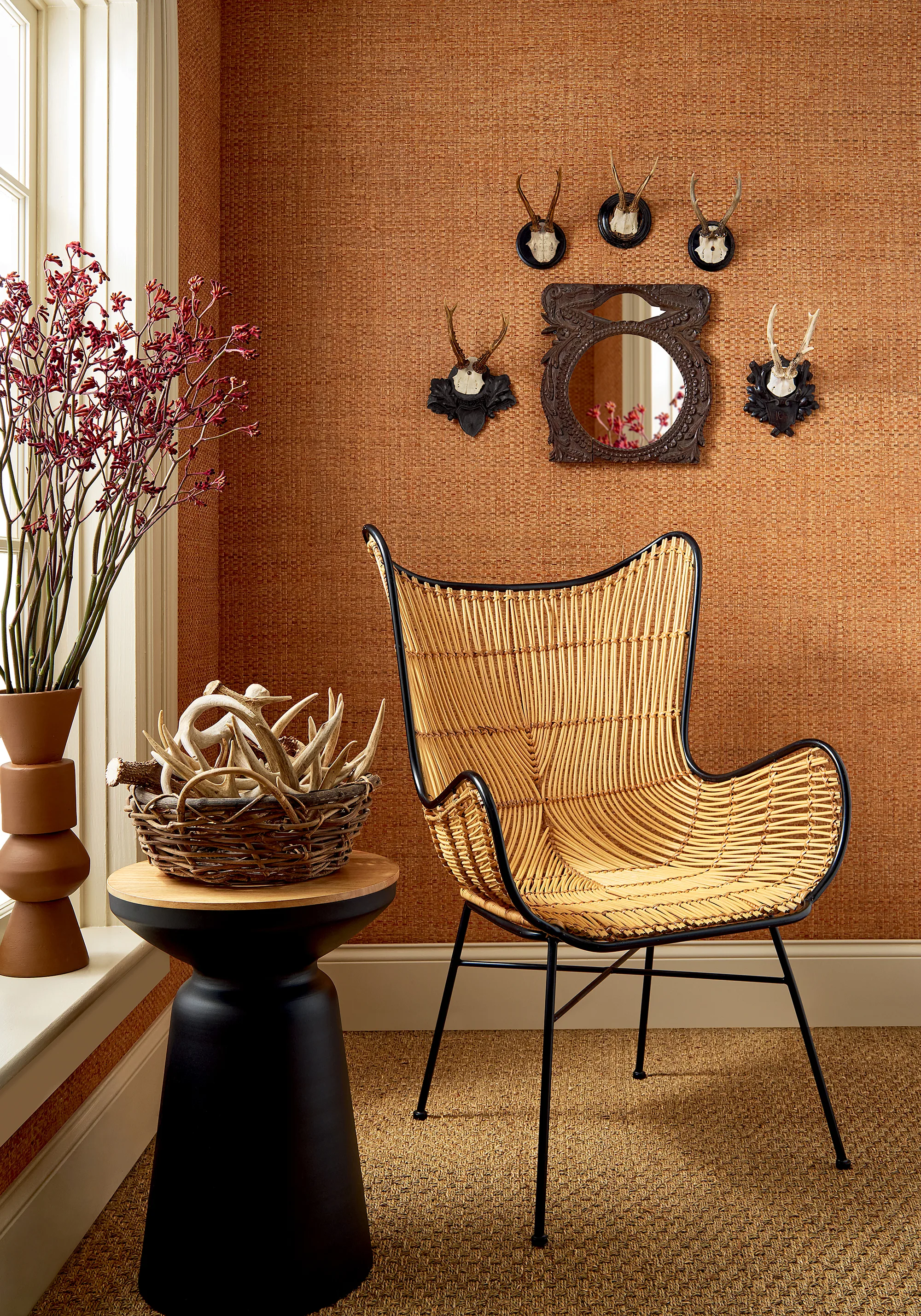 Thibaut Lauderdale in Pumpkin (T19606)