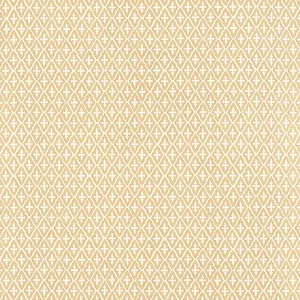 Anna French Lindsey in Soft Gold (AT57812)