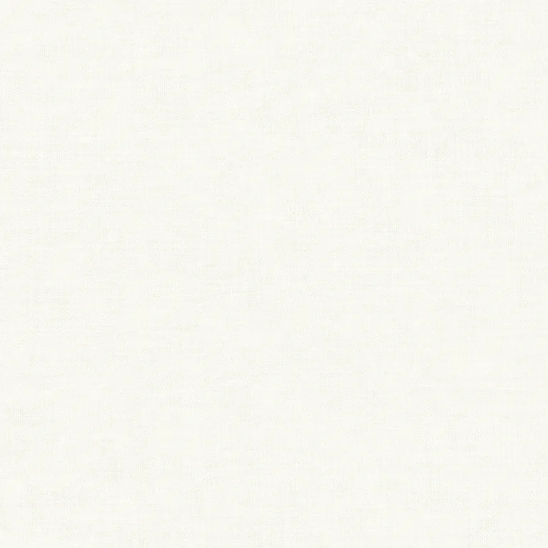 Armani Linen Plain in Flax (9616)