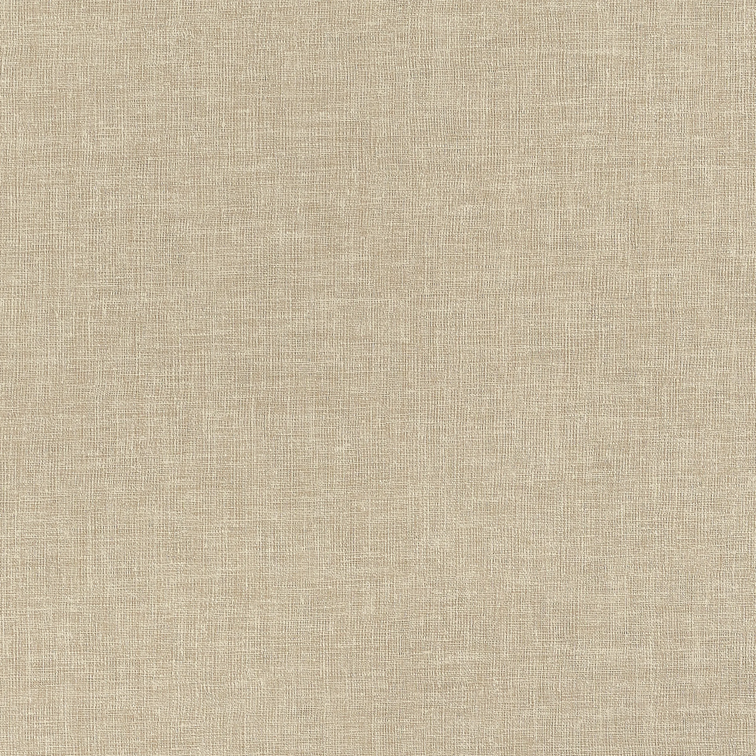 TWW34054 | Linen Weave Wide Width – Caramel