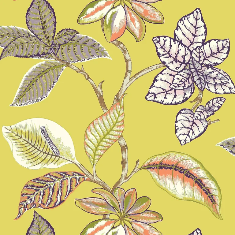 Thibaut Lucala in Citron (T5752)