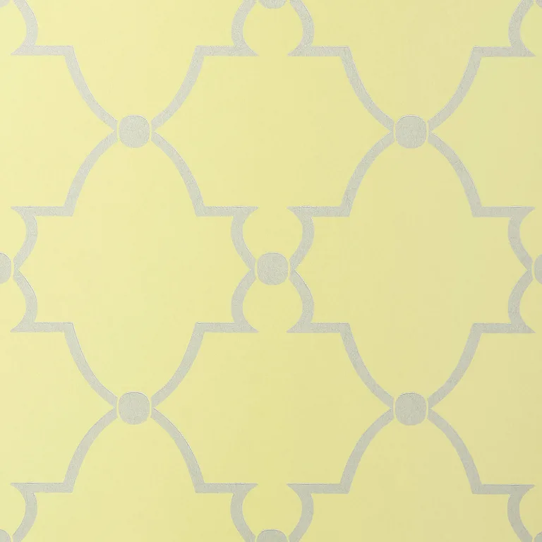 Anna French Lucian in Metallic on Citron (AT1441)