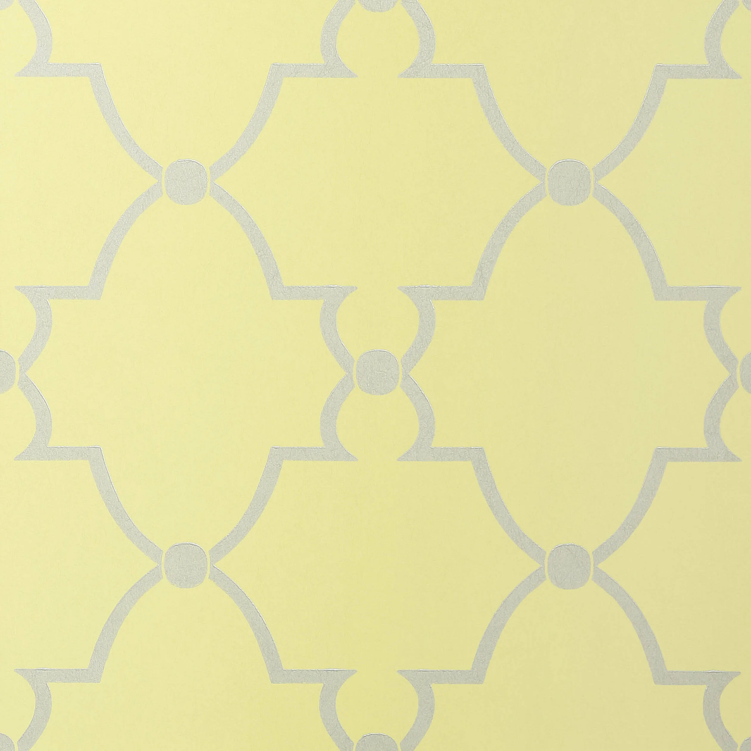 Anna French Lucian in Metallic on Citron (AT1441)
