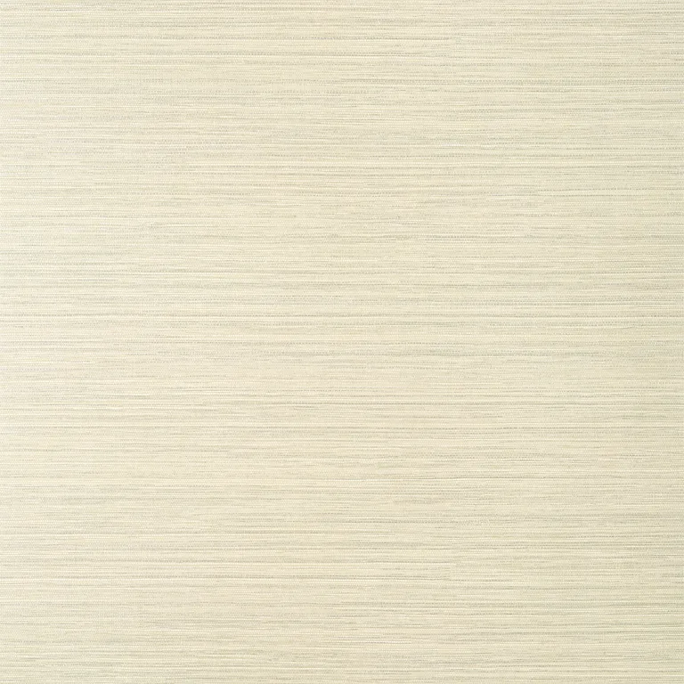Thibaut Luta Sisal Wide Width in Beige and Metallic Silver (TWW14525)