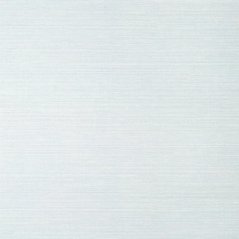 Thibaut Luta Sisal Wide Width in Ice (TWW14527)