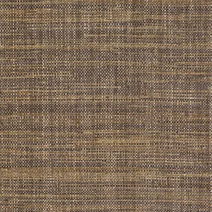 Thibaut Mackinac in Earth (T10304)