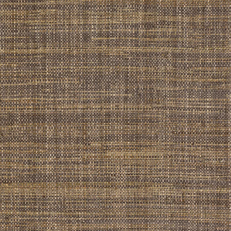 Thibaut Mackinac in Earth (T10304)