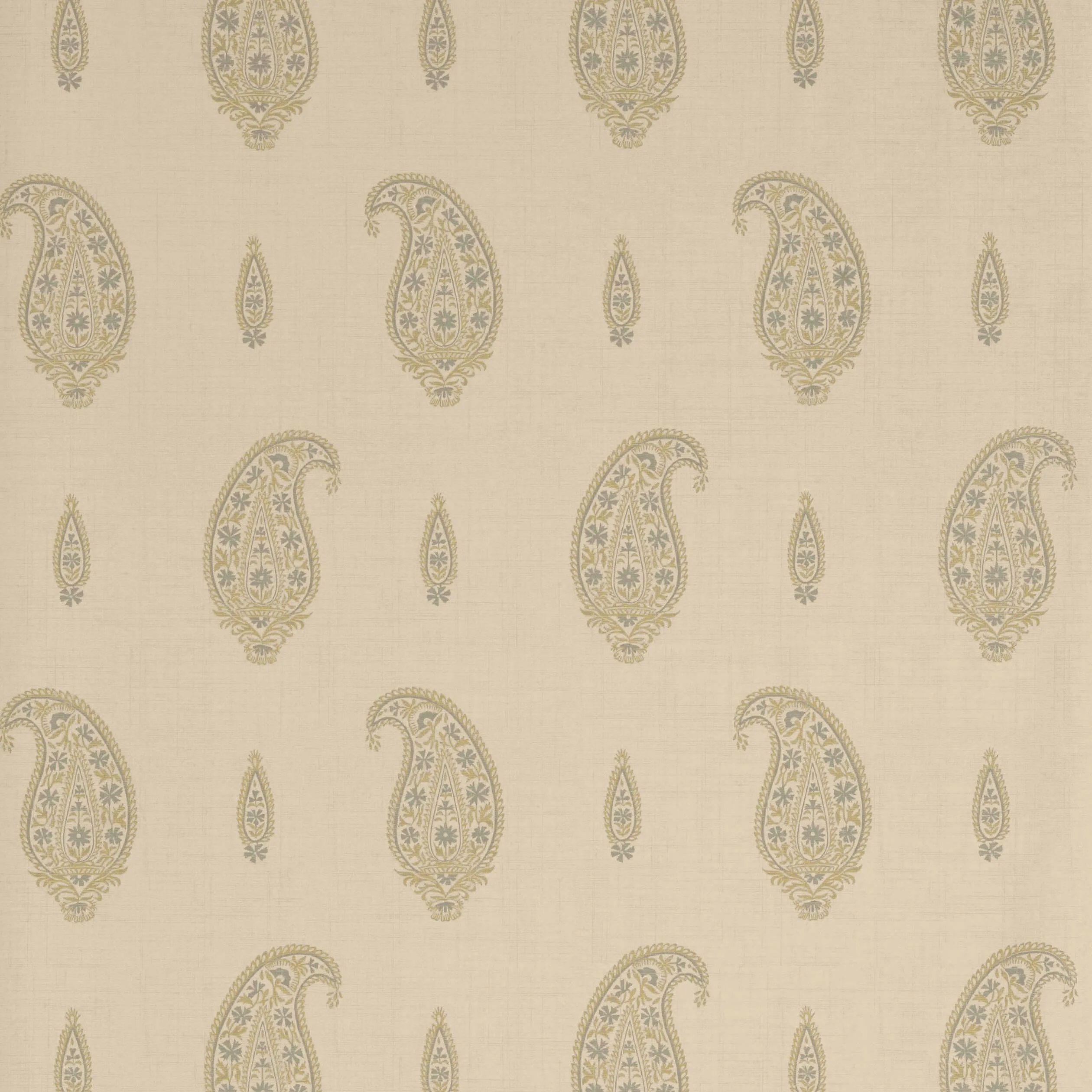 Thibaut Maduri in Beige and Grey (T1049)