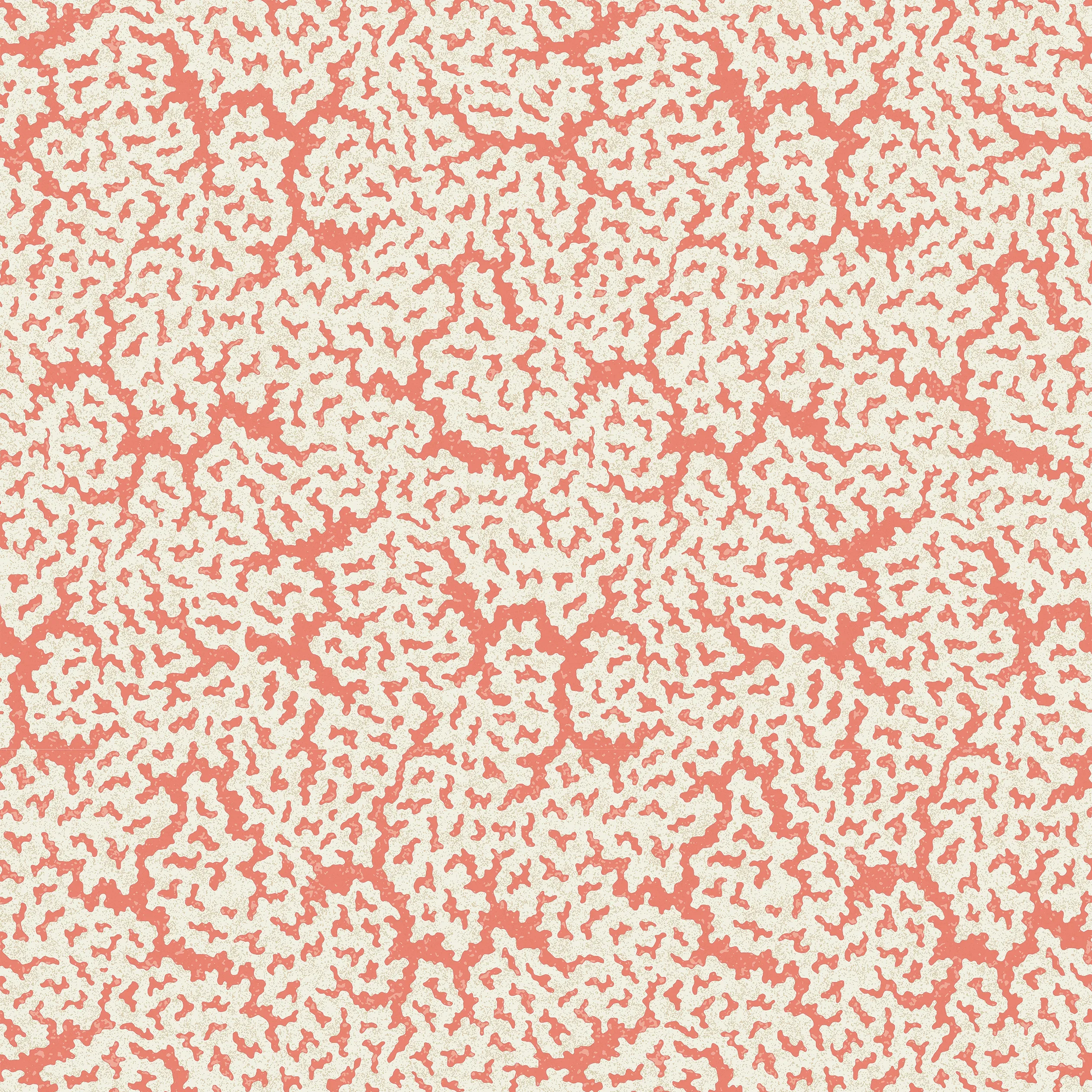 T42043 | Maldives – Coral