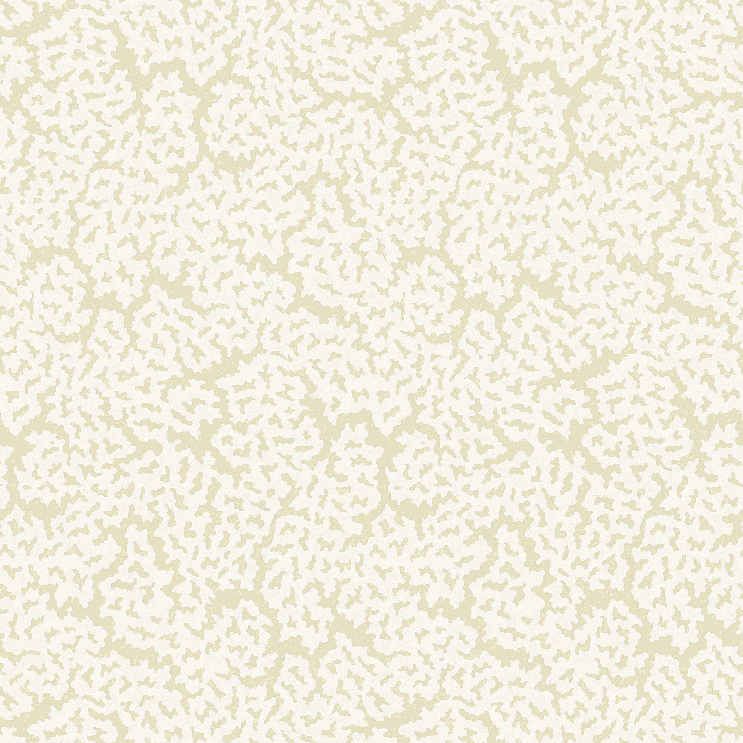 T42059 | Maldives – Cream