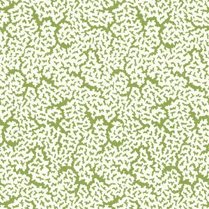 Thibaut Maldives in Green (T42041)