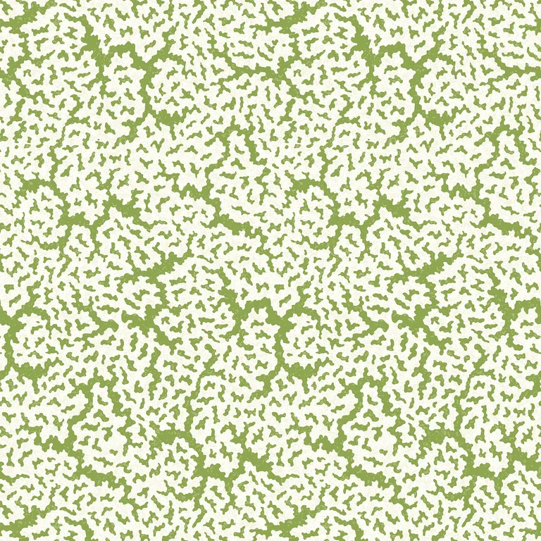 Thibaut Maldives in Green (T42041)