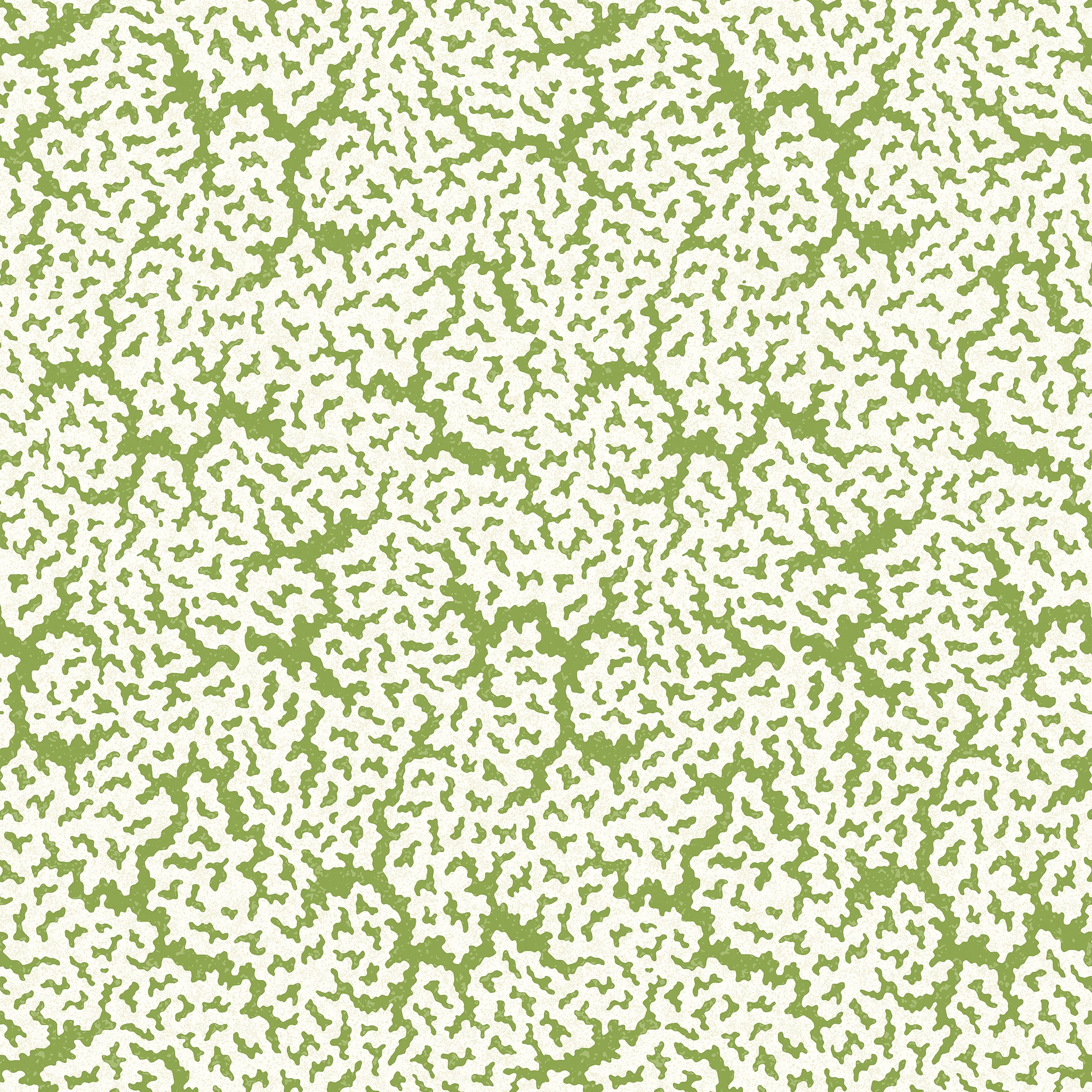T42041 | Maldives – Green