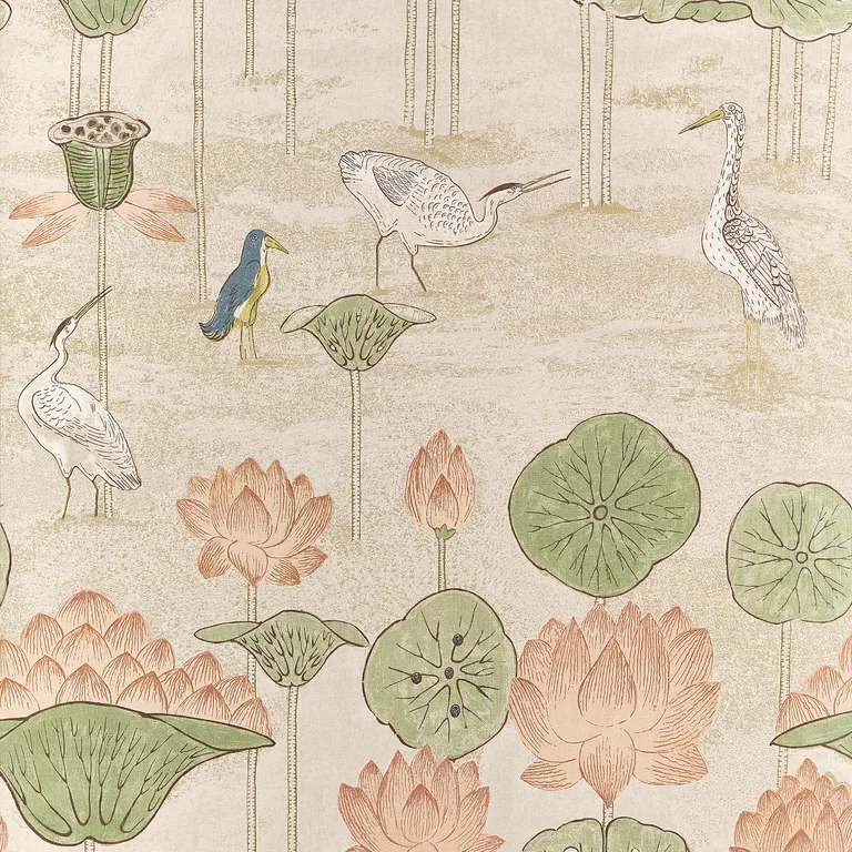 Thibaut Malea in Apricot (T14635)