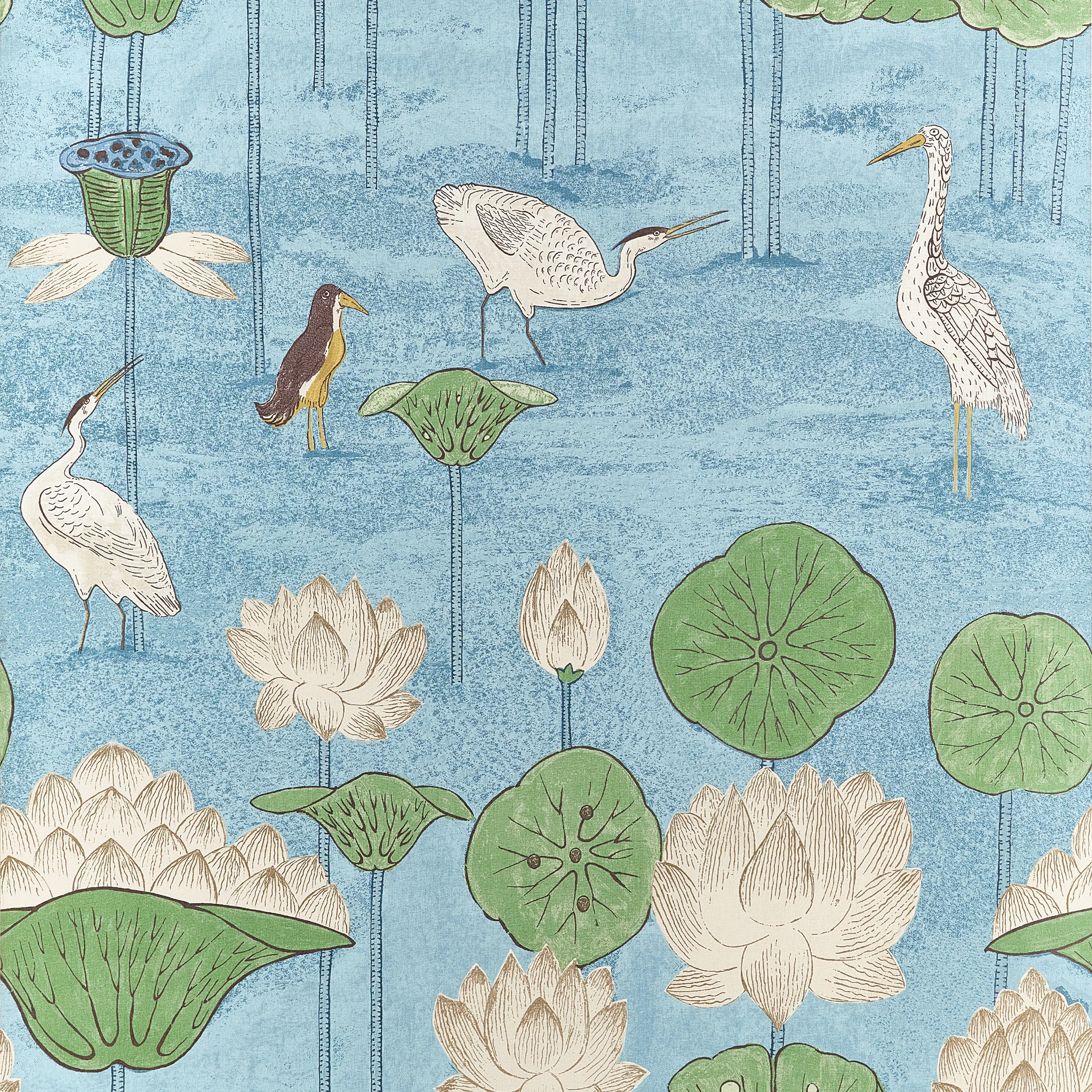 Thibaut Malea in Sky Blue (T14637)